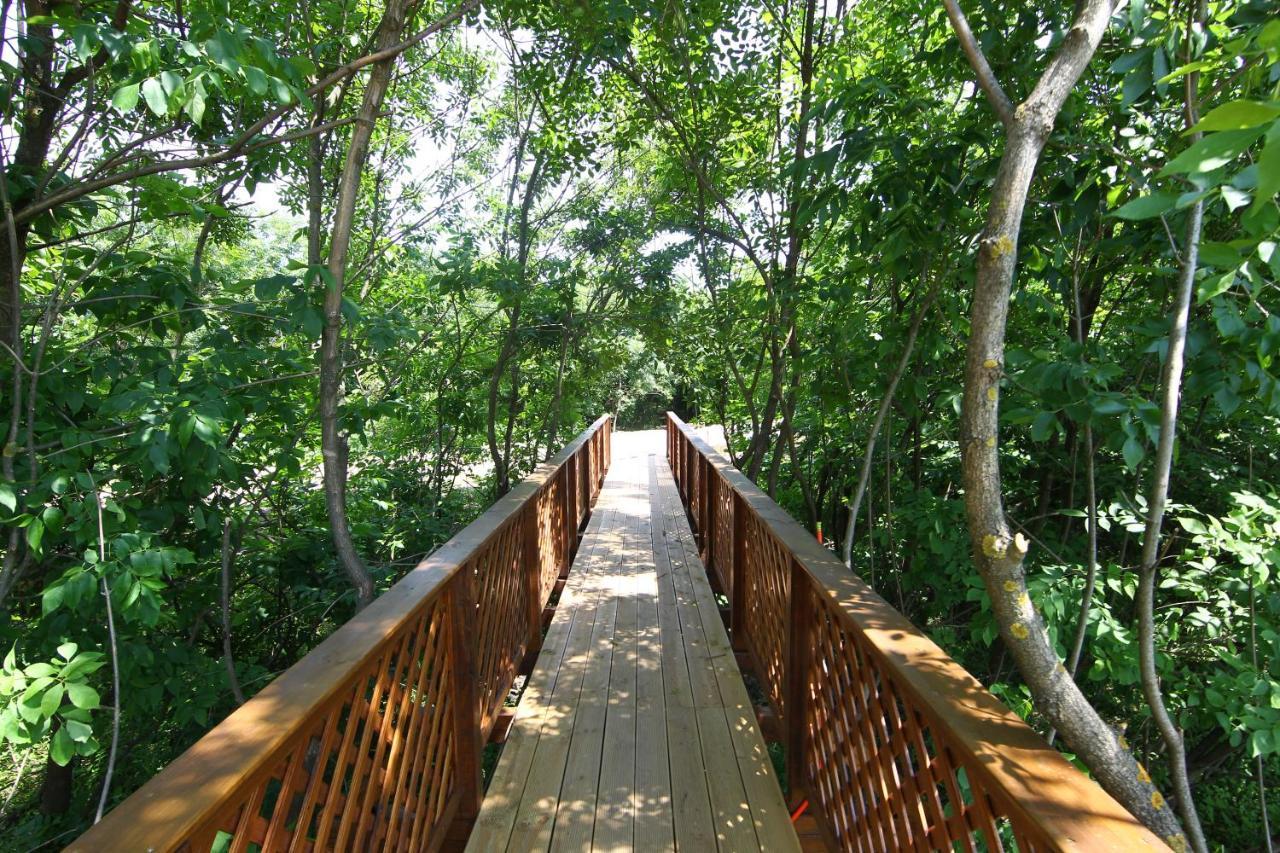 Bibic Nature Lodge บาลมาซูจ์แบรอส ภายนอก รูปภาพ